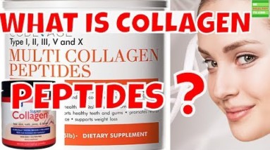 What is Collagen Peptides ?