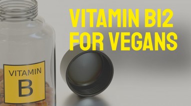 Vitamin b12 for vegans