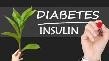 Natural Diabetes Insulin Plant | Orange Health