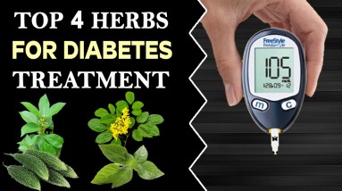 Top 4 Herbs for Diabetes Treatment | Orange Health