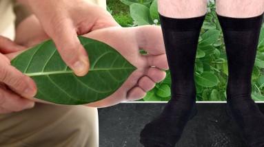 AAK Leaves to Treat Diabetes and Obesity | Orange Health