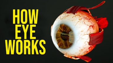 How Your EYE Works !! - What Happens Your Eyes - How to Keep Healthy EYE | Dr. Vijay Bhaskar