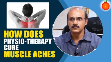 How Does Physio-Therapy Cure Muscle Aches? || Doctor about Muscle Aches