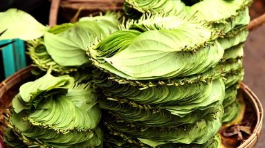 If You Want To CURE Diabetes Use This Leaf | It Helps to Cure Diabetes Naturally