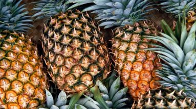 Can Pineapple Raise Blood Sugar? || Is Pineapple Good for Diabetics? || Orange Health