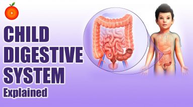 How to Improve Child Immune and Digestive System? || Orange Health