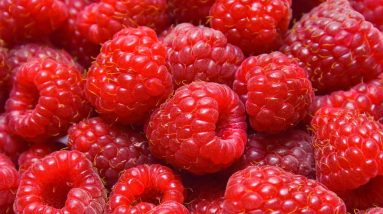 10 Amazing Health Benefits of Raspberry Fruit || Orange Health