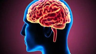 Brain Stroke, Types of, Causes, Pathology, Symptoms, Treatment and Prevention