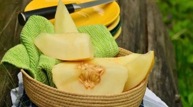 Is Muskmelon Good For Diabetes? || Orange Health