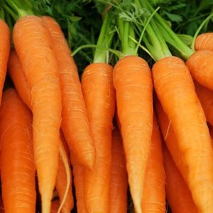 Carrot Juice Helps Reduce Diabetes || Sugar Control Easily with Carrot Juice || Orange Health