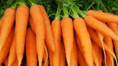 Carrot Juice Helps Reduce Diabetes || Sugar Control Easily with Carrot Juice || Orange Health