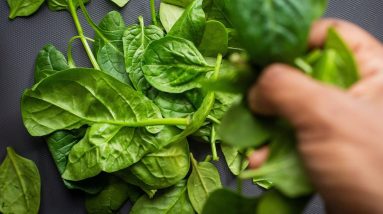 Is Spinach Good For Diabetes? || Diabetes Foods Explained || Orange Health
