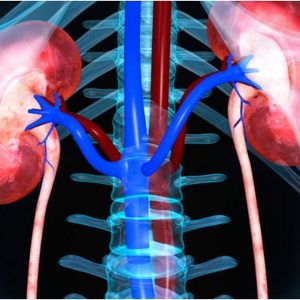 It's Time To Consult Your Nephrologist || Orangwe Health