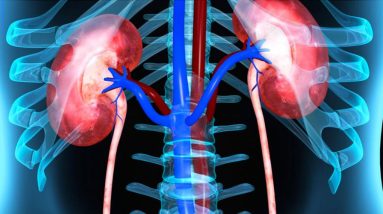 It's Time To Consult Your Nephrologist || Orangwe Health