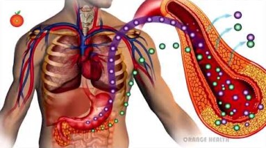 Diabetes Control Diabetes || Amla - Cardamom Powder For Diabetes || Orange Health