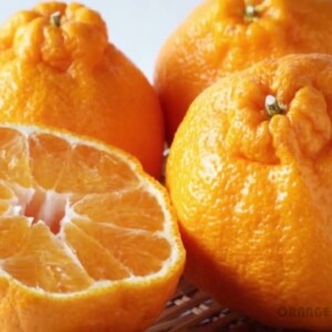 Eat At Least 1 Orange In A Day If You Have Diabetes || Orange Health