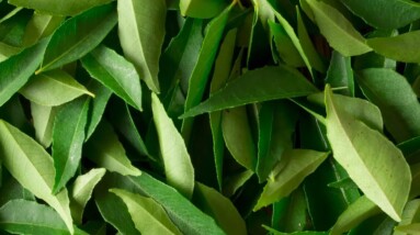 Diabetes Control Tips | Only 1 Leaf To Cure Diabetes | Say Goodbye To Diabetes | Orange Health